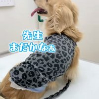 さらお君を病院に連れて行ったら6