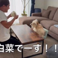 「！！」