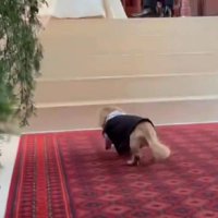 「一仕事終わった～」