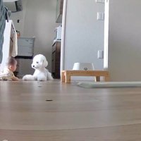 「勝手に動いて大丈夫かなあ…？」