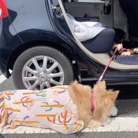 奥にいるのがレオンくん