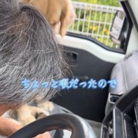 助手席でしょんぼりと顔を伏せる犬