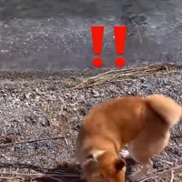 波にビビりまくり！