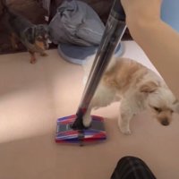 キックをお見舞い！