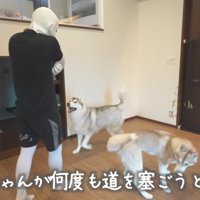 最後の扉を死守するもんちゃん