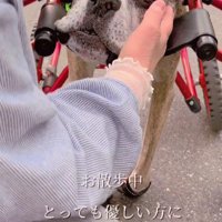 知らない人に話しかけられた