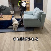 まる君VS男の子3