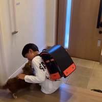 アムくんとお兄ちゃんの再会5