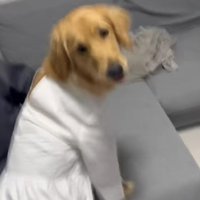 「そんなに似合ってる？」