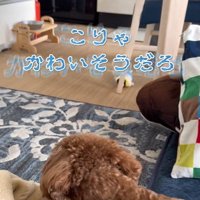 おじいちゃんが可哀想すぎる…！