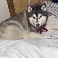 引き離されてションボリ