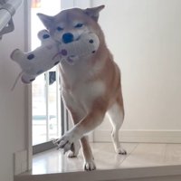 お手々を伸ばして大歓迎♪