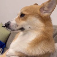 休日のお父さんみたい