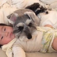 赤ちゃんを枕にするトトちゃん2