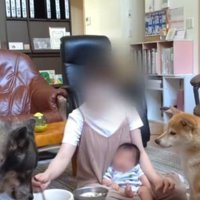 兄妹