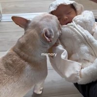 ぶうちゃんと赤ちゃん