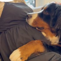 ママの信頼も厚いです