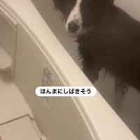 ｢何をされてるんですかね…あなたは｣