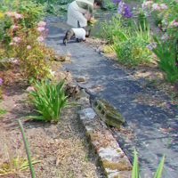 おばあちゃんの家を訪問