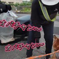 愛が止まらない…