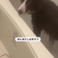 必死に諭すも…