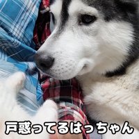 じゅんちゃんとの出会い