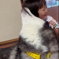 遊んでいるうちに…
