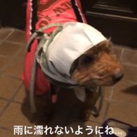 なんだかみじめかも…！？