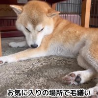 凛々しく逞しい顔立ちに