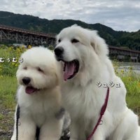 こんなに大きくなりました！！