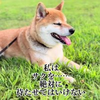 きっと見守ってくれてるね