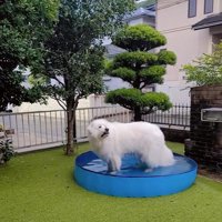 そっぽを向くミントくん