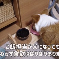いつも通り食欲旺盛