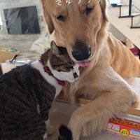 ぴとっ♡
