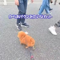 日本人の反応は「からあげクンみたい」