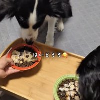 兄弟のジョリーくんと、いざ実食