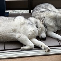 仲良し