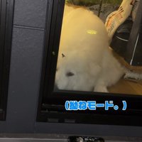 完全敗北し、拗ねちゃいました（笑）