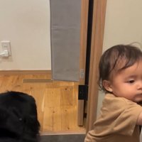 座りなおすロッキーくん