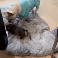 優しさが溢れてます