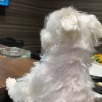 パパさんの帰りを待つナナくん6