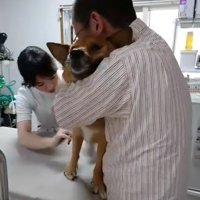 爪を切るスタッフさん