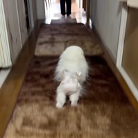 おばあちゃんと再会したら…