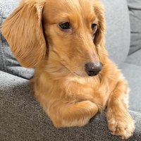 ドヤ顔の凪ちゃん