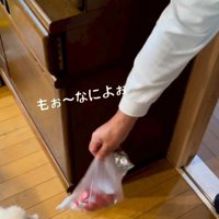 「え…ちょっとやめてください…」