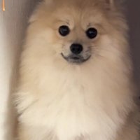 銅像のように固まっちゃった！？