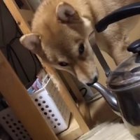 「フン！」