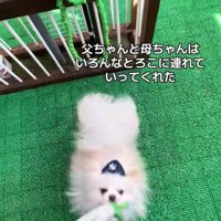 木ノ葉丸くんとの出会い8