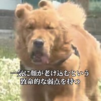 全力疾走中です