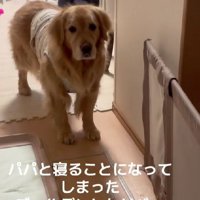 「え…パパと…？」